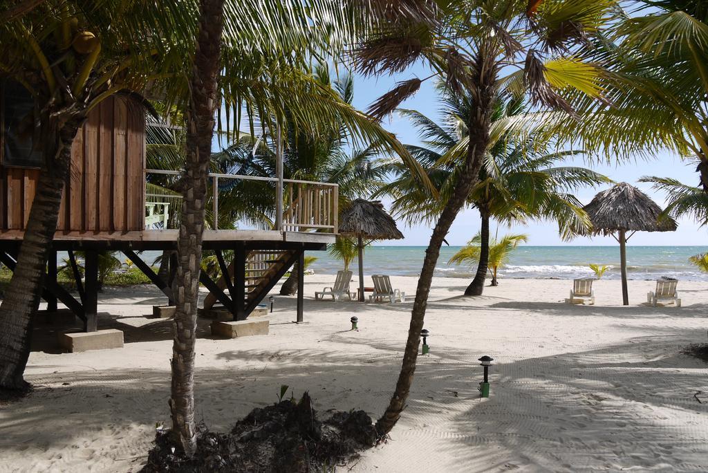Green Parrot Beach Houses And Resort Placencia Exterior foto