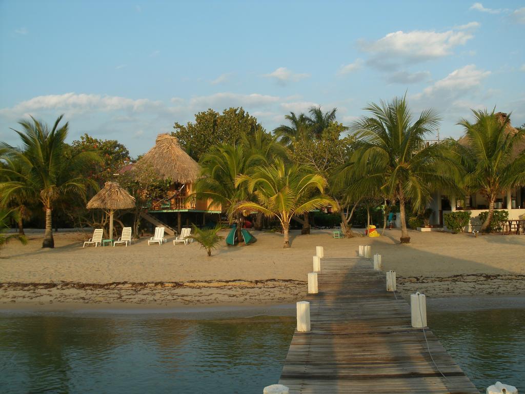 Green Parrot Beach Houses And Resort Placencia Exterior foto