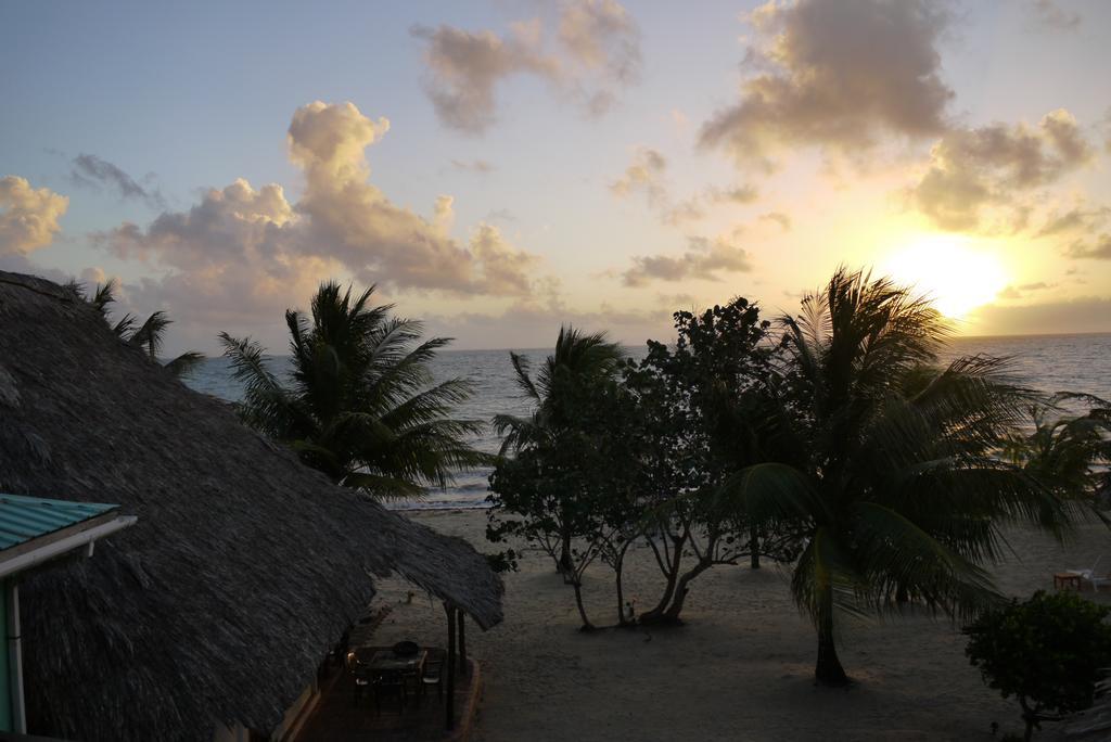 Green Parrot Beach Houses And Resort Placencia Exterior foto
