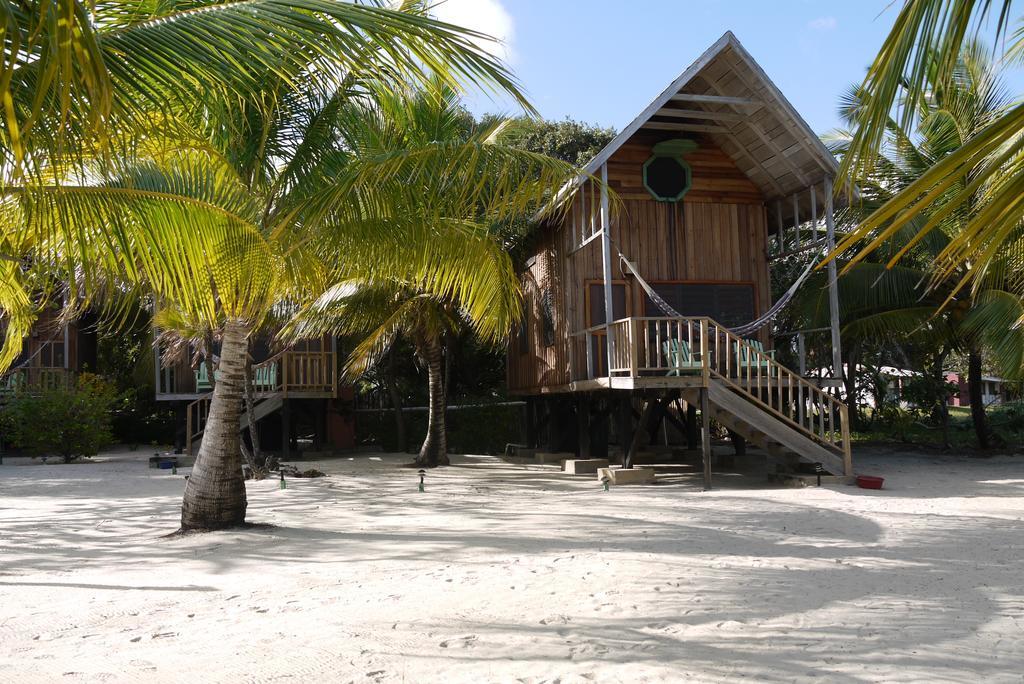 Green Parrot Beach Houses And Resort Placencia Exterior foto