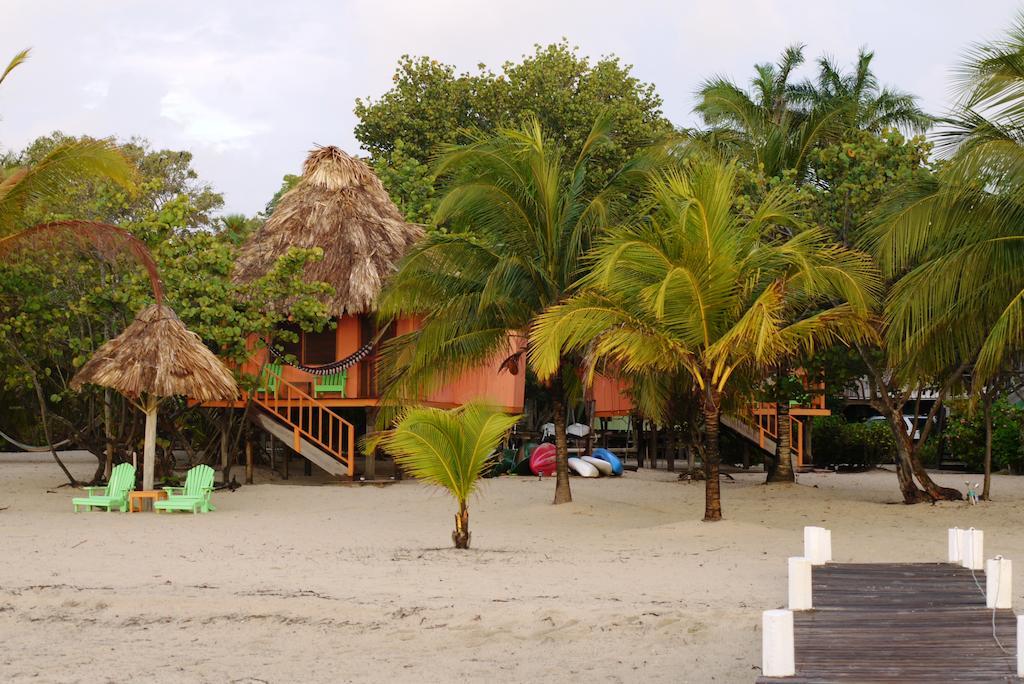 Green Parrot Beach Houses And Resort Placencia Exterior foto
