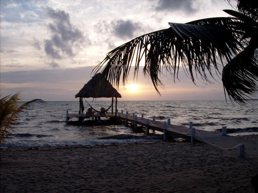 Green Parrot Beach Houses And Resort Placencia Exterior foto