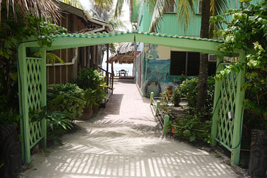 Green Parrot Beach Houses And Resort Placencia Exterior foto