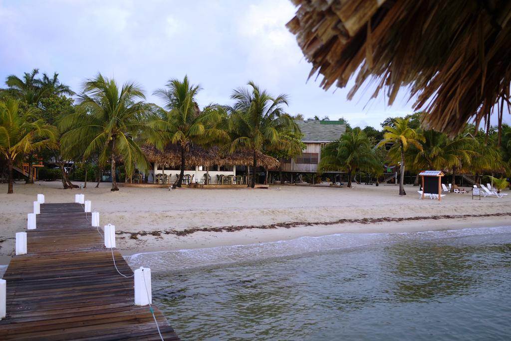 Green Parrot Beach Houses And Resort Placencia Exterior foto