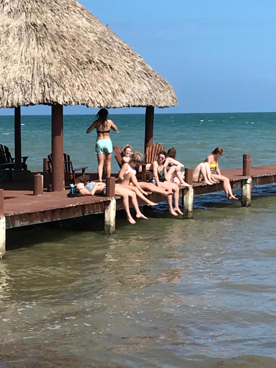 Green Parrot Beach Houses And Resort Placencia Exterior foto