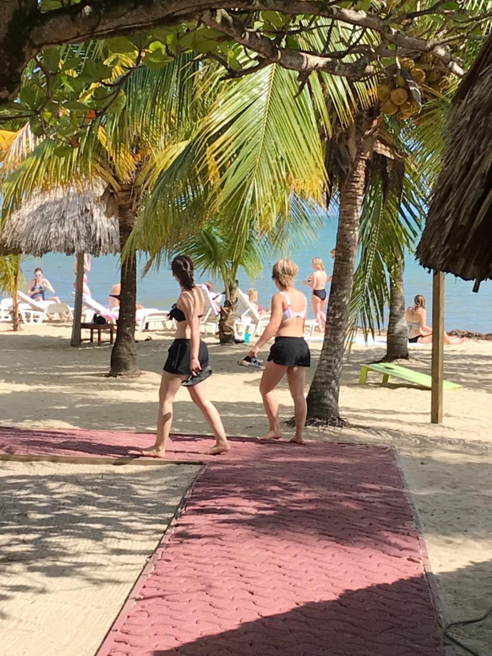 Green Parrot Beach Houses And Resort Placencia Exterior foto