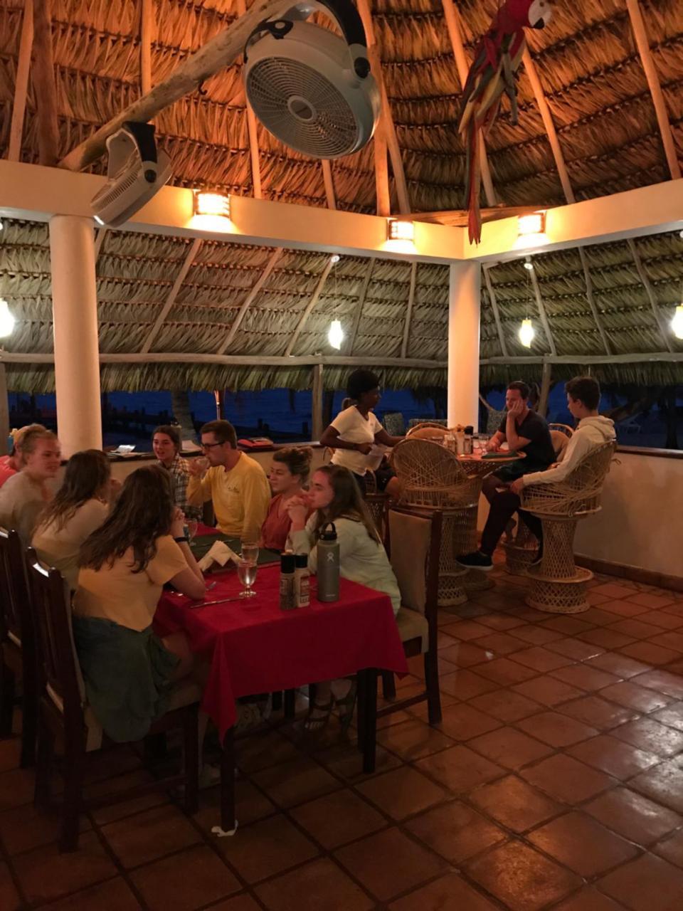 Green Parrot Beach Houses And Resort Placencia Exterior foto