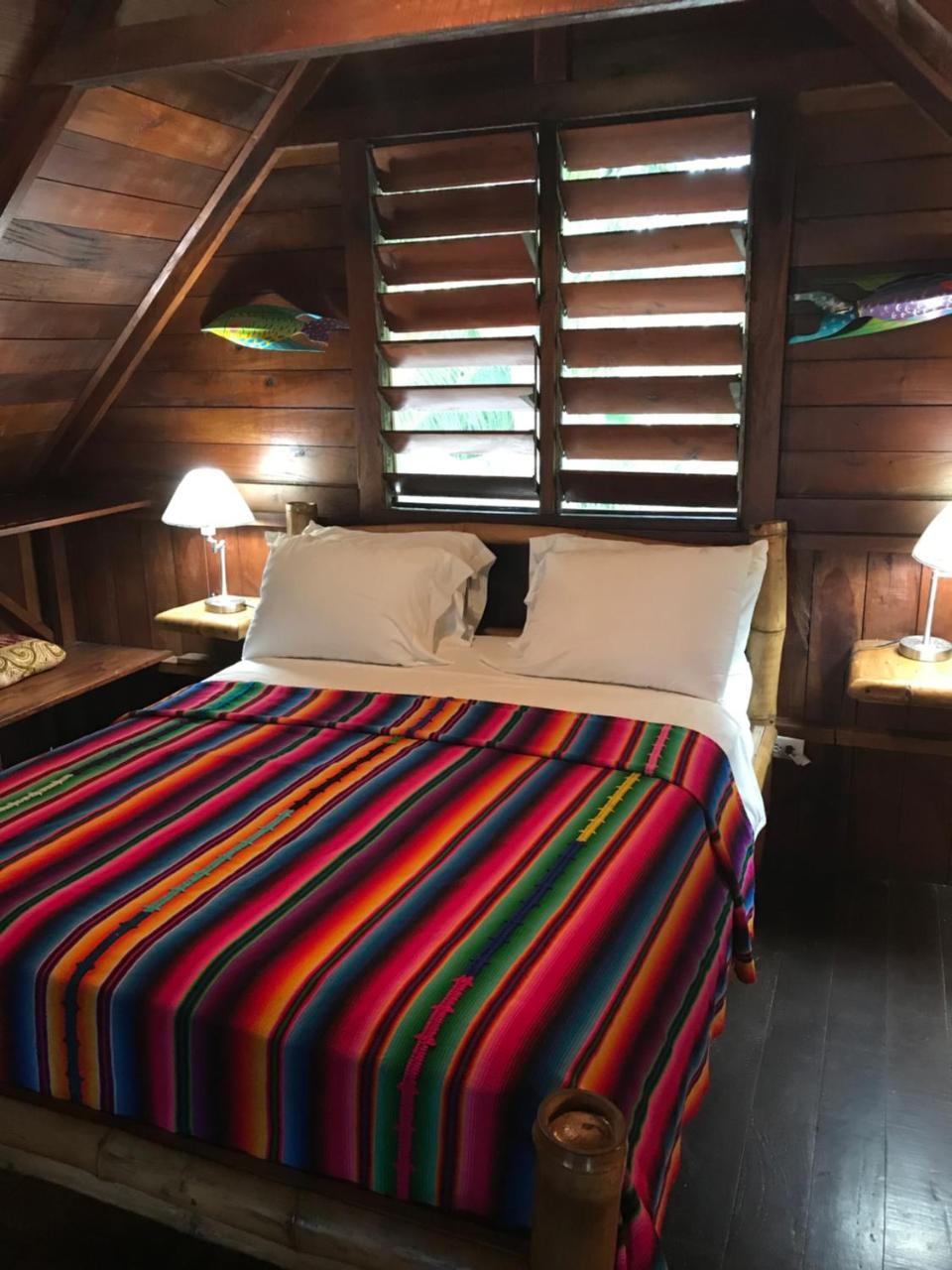Green Parrot Beach Houses And Resort Placencia Exterior foto