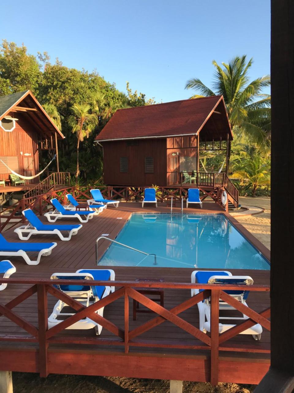 Green Parrot Beach Houses And Resort Placencia Exterior foto