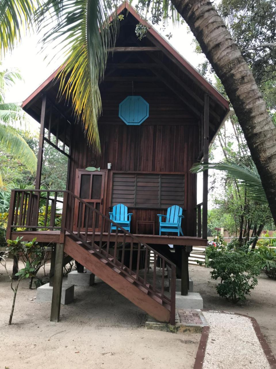 Green Parrot Beach Houses And Resort Placencia Exterior foto